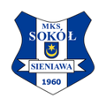 Sokół Sieniawa