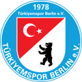 Türkiyemspor