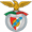 Arronches e Benfica