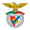 Benfica Castelo Branco